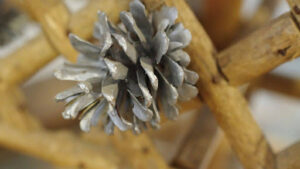 Sweetgum Tree Seed Pods Facts Uses