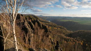 Aesthetic Appeal and Landscape Value